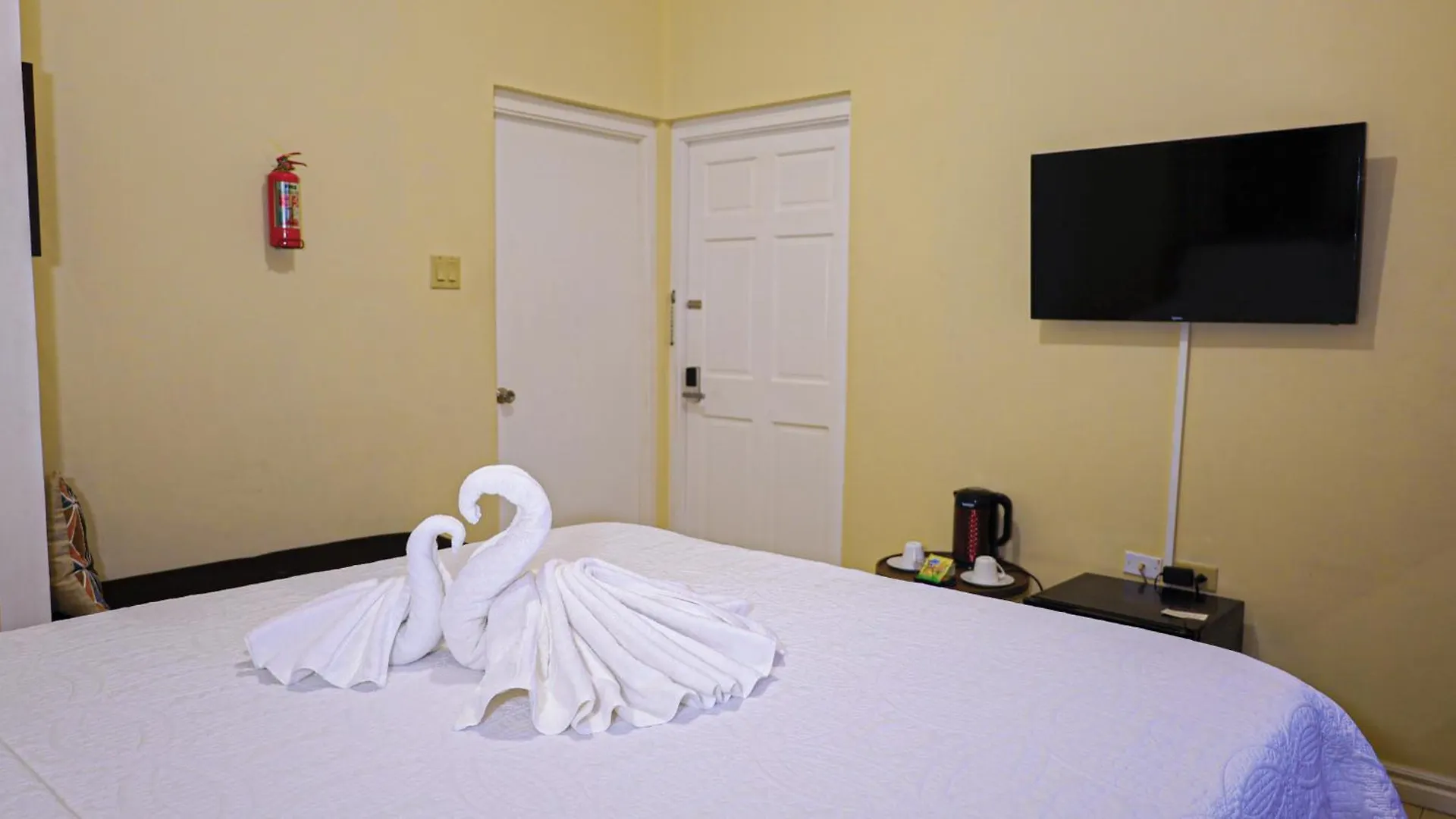 Bed & Breakfast Incognito Culture Rooms Kingston Jamaica